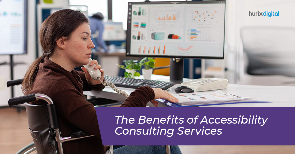 Website Accessibility Audit